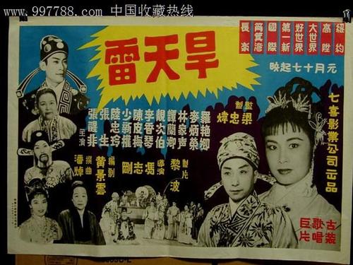 亚利桑那州驾驶证 作假